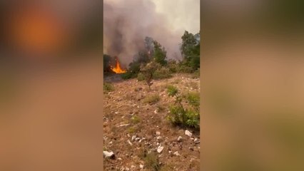 Incendio Carso, i vigili del fuoco difendono le case dalle fiamme