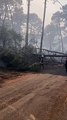 Incendies en Gironde : aux côtés des pompiers à la lutte à La Teste-de-Buch