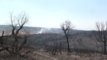 Fas'ta orman yangınları 6'ncı gününde devam ediyor