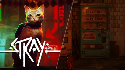 Boissons énergétiques Stray : où trouver toutes les canettes ?