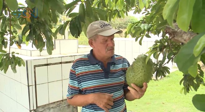 mqn-Camposanto de Florencia en San Carlos está lleno de tumbas, flores, frutas, verduras y hortalizas-190722