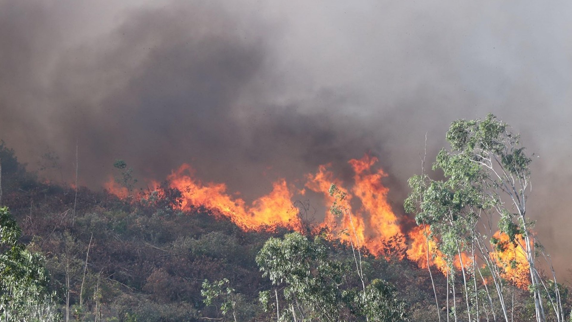 Cháy rừng lan rộng, châu Âu thành “Chảo lửa”