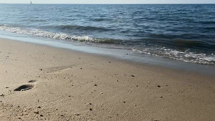 Researchers say groundwater salinity research is important amid rising sea levels