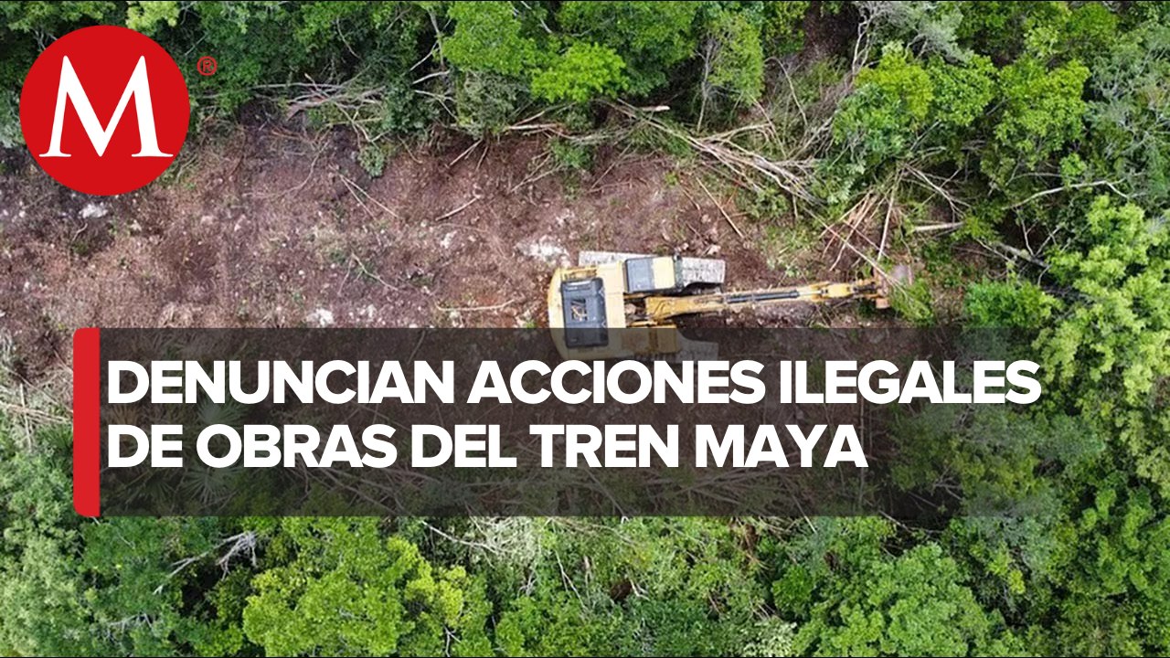 No hay fundamento para declarar una obra turística como de seguridad nacional, afirma Greenpeace