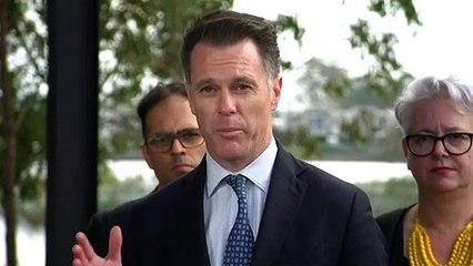 Probe into fmr NSW Deputy Premier's trade role continues