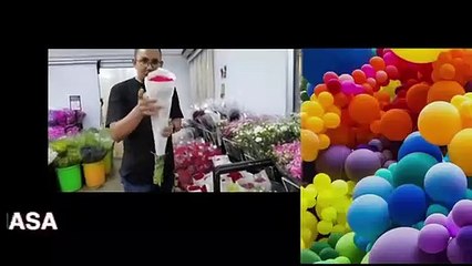 Pemilihan Warna Bunga _ Tips Impiana 365