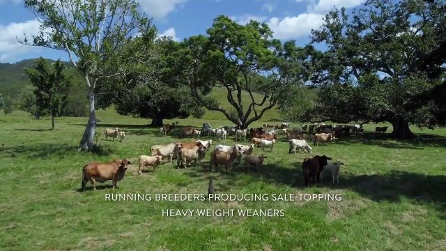 Tullamore, Woolooga | July 2022 | Queensland Country Life