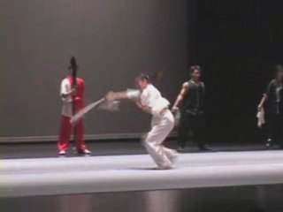 Beijing Wushu Team. 5eme