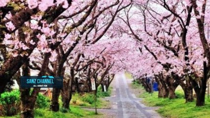 10 Wisata Alam Bogor Yang Populer