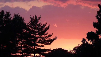 Nikon p 1000 Images of Mother nature