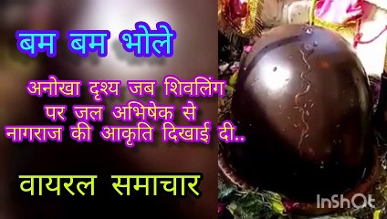 बम बम भोले_वायरल समाचार Bam Bam Bhole_Viral Samachar