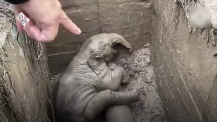 Mamá elefante rescatando a elefantito - Almohadazo Casero