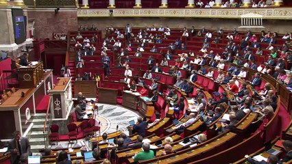 2ème séance : Mesures d'urgence pour la protection du pouvoir d'achat (suite) - Mardi 19 juillet 2022