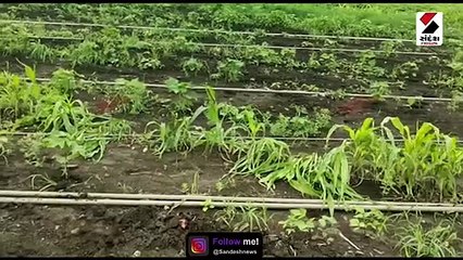 જામનગર: કંપનીની બેદરકારીને કારણે ખેડૂતોના જીવને જોખમ