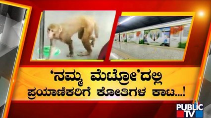 'ನಮ್ಮ ಮೆಟ್ರೋ'ದಲ್ಲಿ ಕೋತಿಗಳ ಕಾಟ | Namma Metro | Monkeys | Public TV