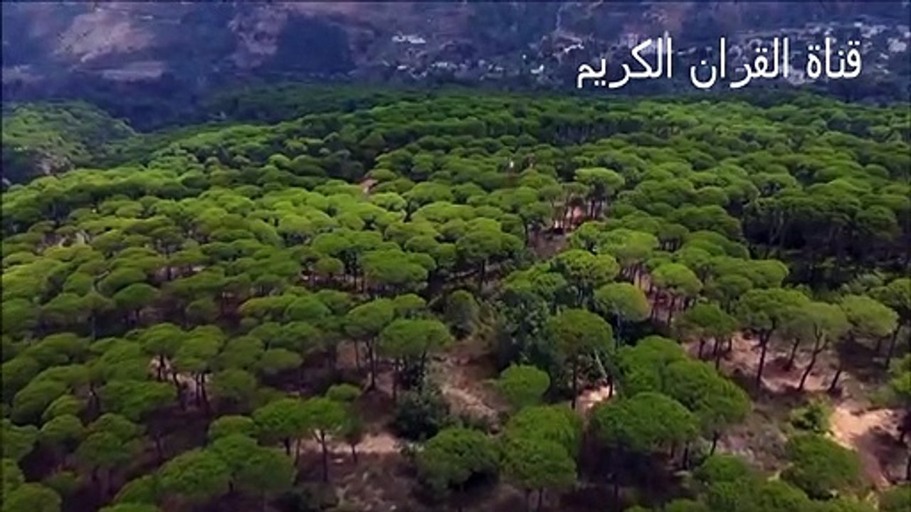 اجمل صوت قران حزين يبكي