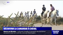 C'est vos vacances: à la découverte de la Camargue à cheval