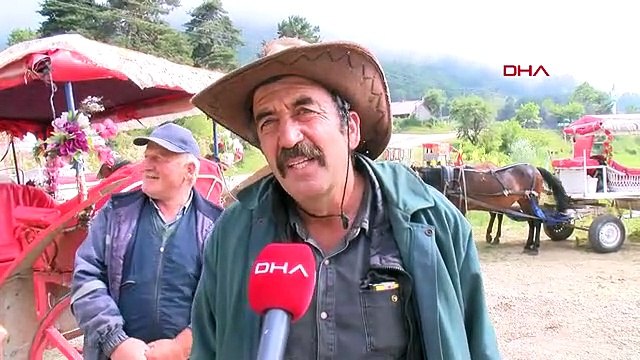 ABANT MİLLİ PARKI'NDA FAYTON YASAKLANDI