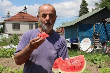 DÜZCE'DE FINDIĞA ALTERNATİF KARPUZ ÜRETİMİNDE HEDEF 5 BİN TON