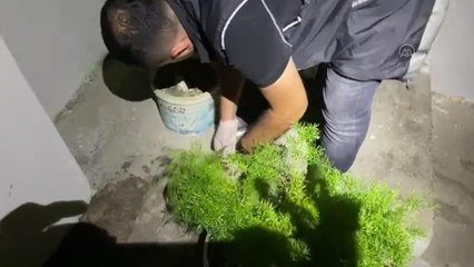 Sahte isimle kiraladığı evde uyuşturucu bulunan şüpheli yakalandı