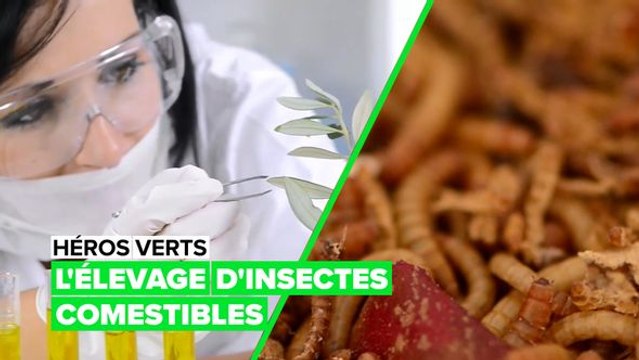 Une ferme biologique sur votre comptoir de cuisine