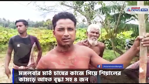 শিয়ালের আতঙ্কে দেগঙ্গার গ্রামবাসীদের হাতে লাঠি, ধারালো অস্ত্র 