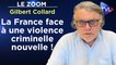 Zoom - Gilbert Collard : La France est face à une violence criminelle nouvelle !