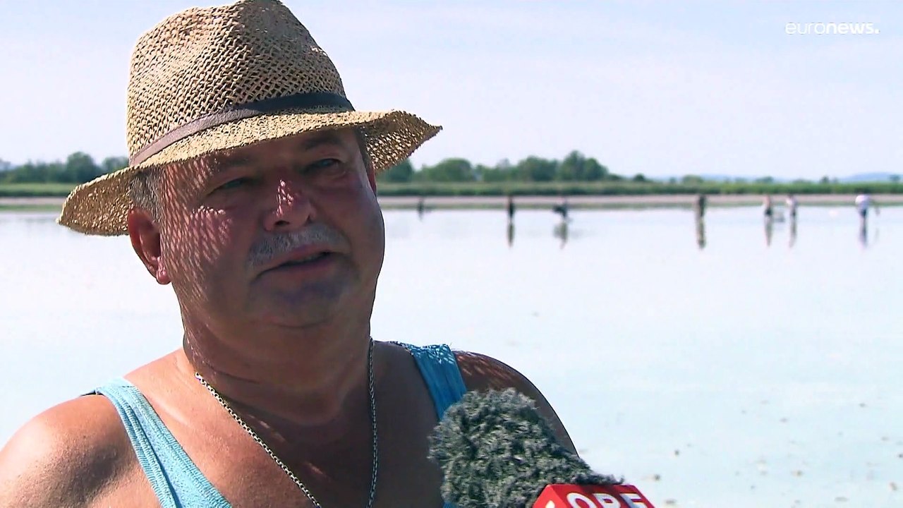 Zicksee trocknet aus, Fische verenden