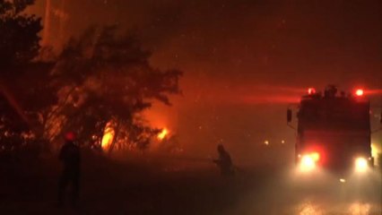 Grecia, rogo alla periferia Nord di Atene: centinaia di sfollati