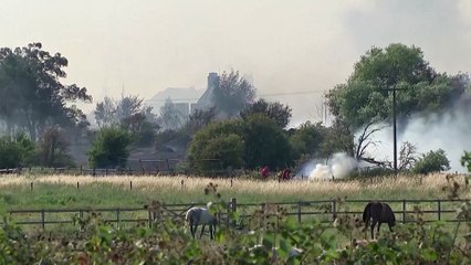 Fires burn around London during record-breaking heatwave