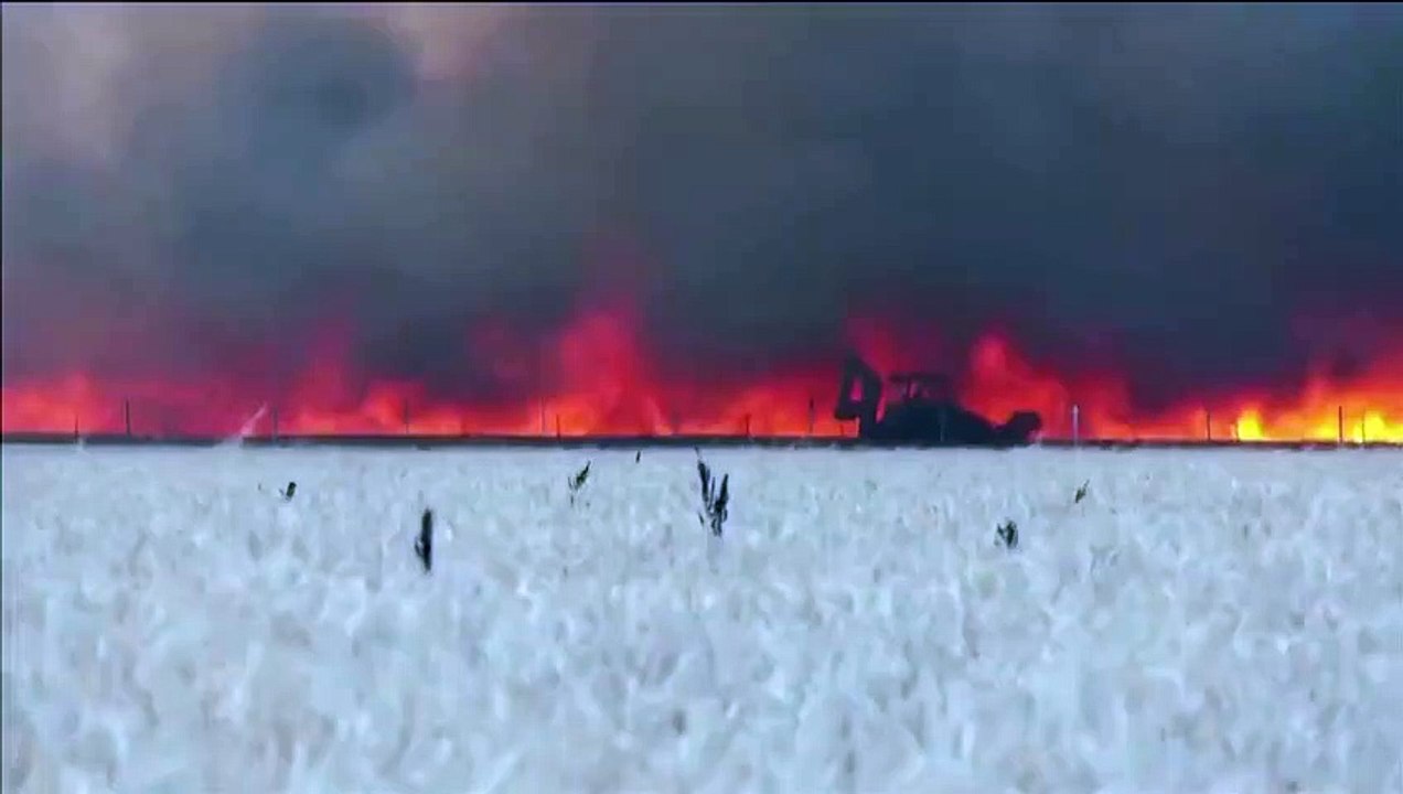 Espagne : la vidéo du héros de Tábara, encerclé par les flammes, émeut le monde
