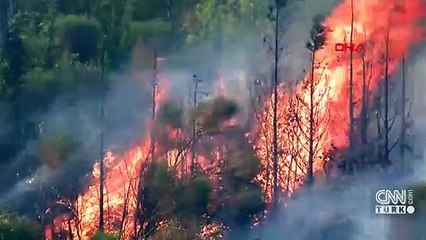 "Ne kadar erken, o kadar orman"