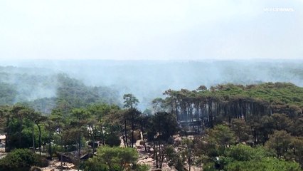 حرائق الغابات تكتسح العالم ويزداد تواترها.. تعرف على أبرزها في 2022