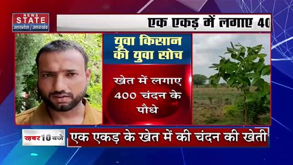 UP News: Jalaun के युवा किसान की सोच को DFO ने सराहा, हजारों की लागत से करोड़ों की कमाई !