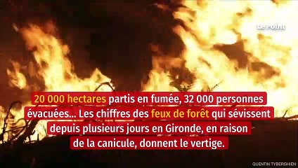 Mégafeux : comment y mettre fin ?