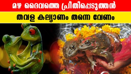 മഴ പെയ്യിക്കാൻ തവളകളെ കല്യാണം കഴിപ്പിക്കുന്ന ഗ്രാമം |*Viral Video