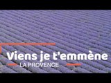 Viens je t’emmène… au pays de la lavande sur le plateau d’Albion