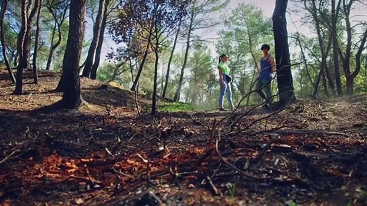 Plus Belle la Vie - Baptiste et Justine enquêtent sur les départs de feu