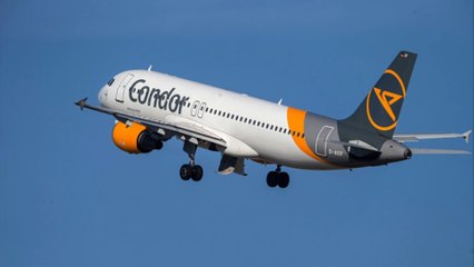 Flugzeug Richtung Hamburg muss nach Knall notlanden