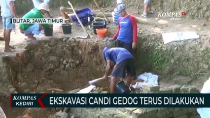 Ekskavasi Candi Gedog Yang Diduga Peninggalan Kerajaan Majapahit