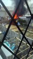 Shed fire that erupted in Tipner, Portsmouth, that spread across several garden buildings