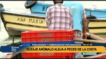 Pescadores y comerciantes son perjudicados debido al oleaje anómalo que aleja peces de la costa