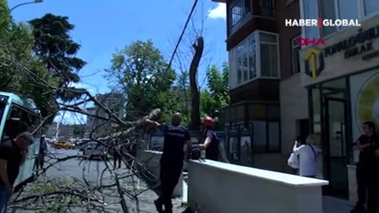 İstanbul'da korku dolu anlar! Minibüsün üzerine ağaç böyle devrildi