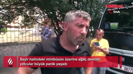 Seyir halindeki minibüsün üzerine ağaç böyle devrildi