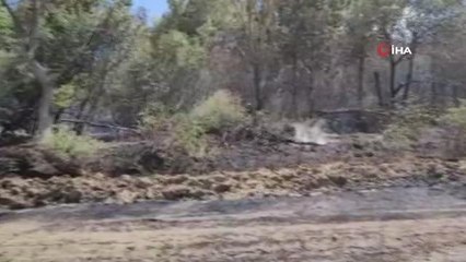 Tekirdağ'daki orman yangını kontrol altına alındı