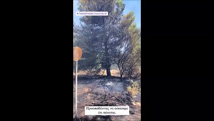 Νάντια Μπουλέ: Ξέσπασε για τις φωτιές στην Παλλήνη όπου βρίσκεται το σπίτι της (video)