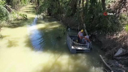Son dakika! Sel sonrası Bartın Irmağı'nda ağaç temizliğine başlandı