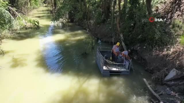 Son dakika! Sel sonrası Bartın Irmağı'nda ağaç temizliğine başlandı