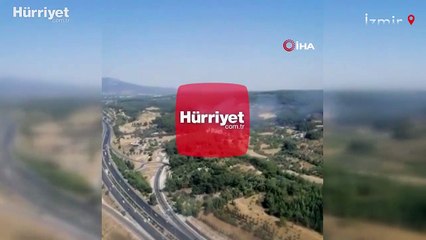 İzmir'de orman yangını! Havadan ve karadan müdahale ediliyor