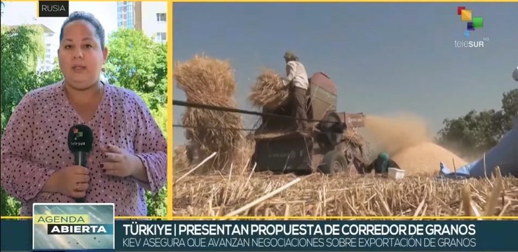 Rusia y Türkiye proponen la creación de un corredor de granos